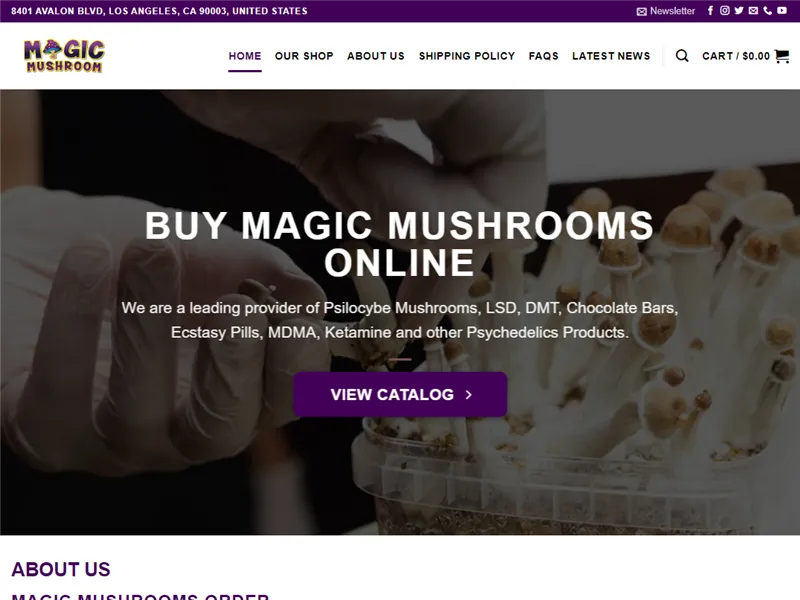 Magicmushroomsorder.com
