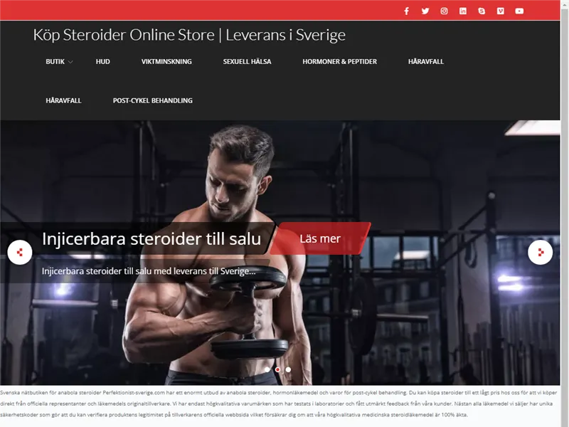 Perfektionist-sverige.com