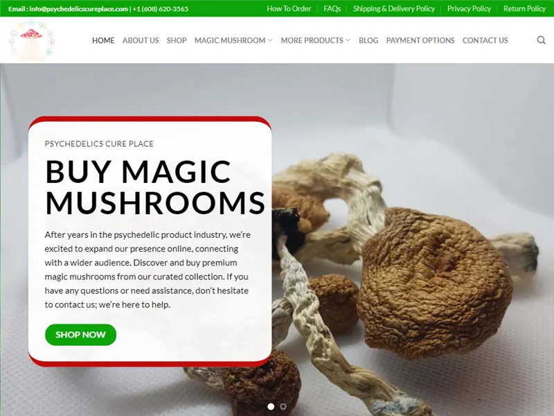 Psychedelicscureplace.com
